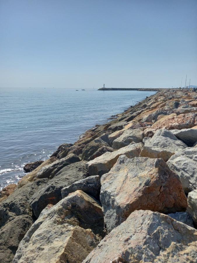Appartement SAINT CYPRIEN Plage Résidence Les Mas de la Mer Esterno foto
