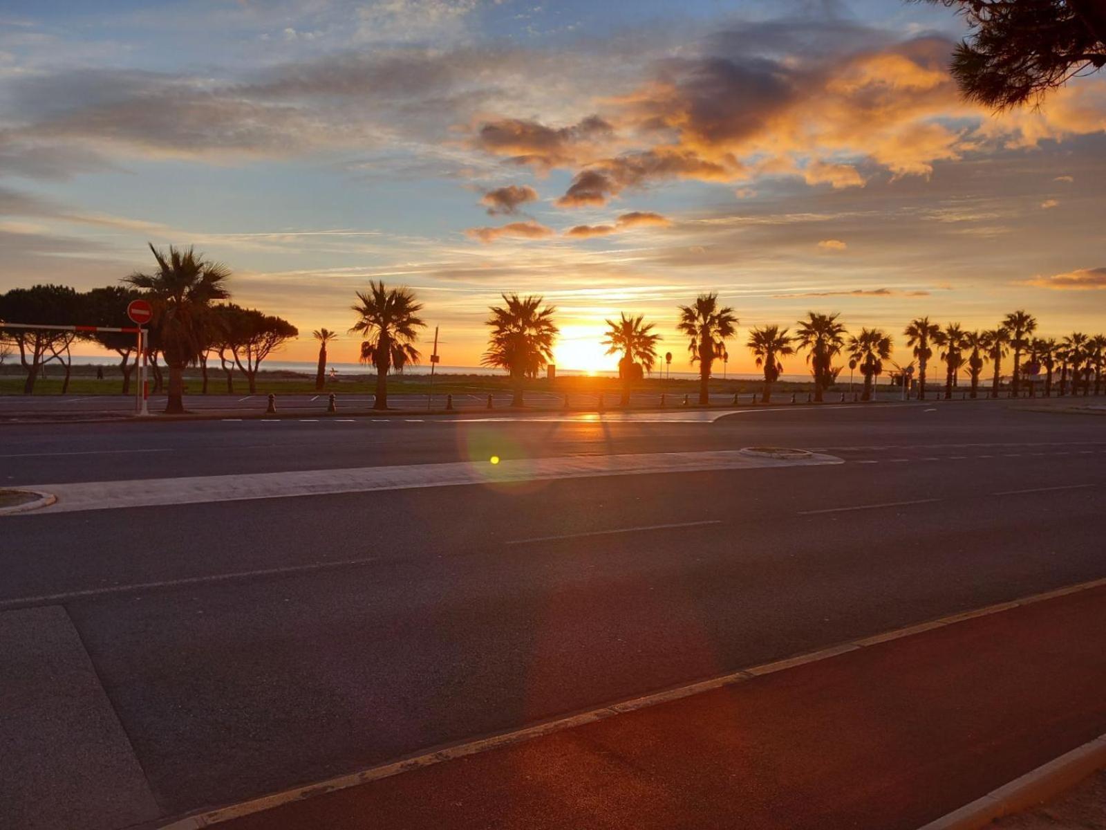 Appartement SAINT CYPRIEN Plage Résidence Les Mas de la Mer Esterno foto